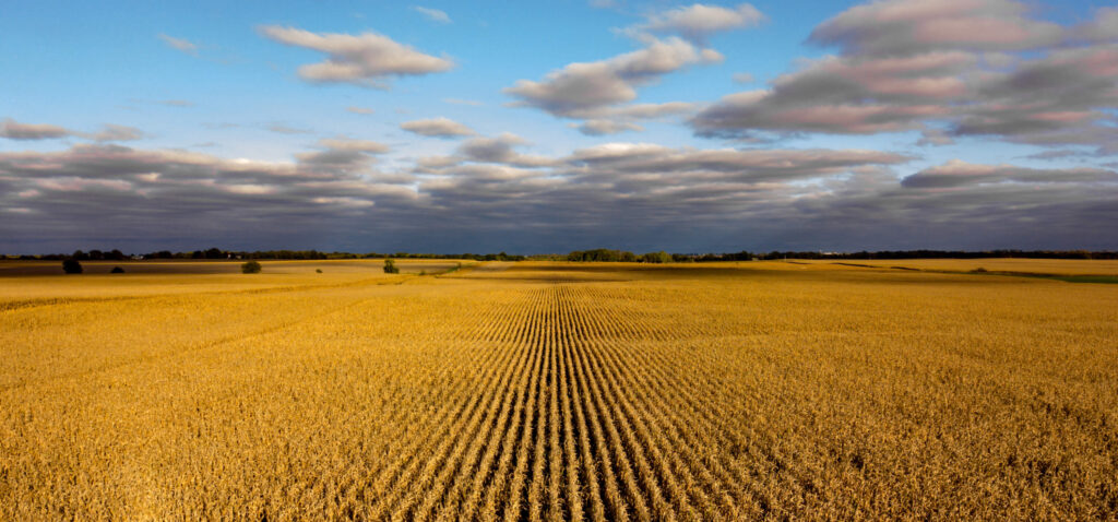 Nebraska Agriculture Cybersecurity Vulnerabilities